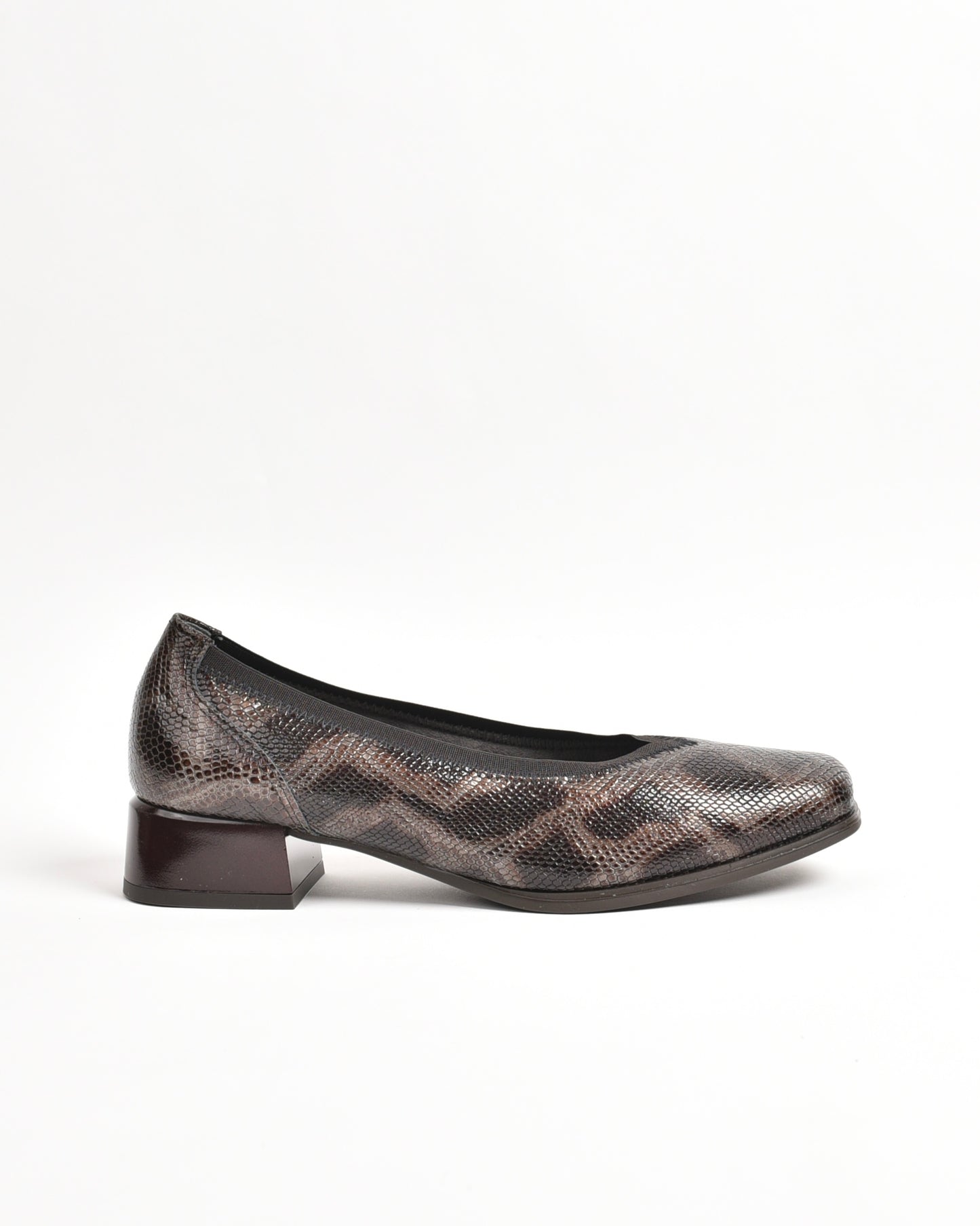 Pitillos classic shoes for women in brown