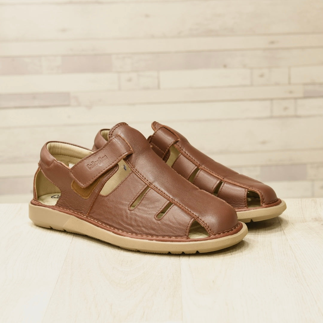 Callaghan spanish sandals for men  in brown