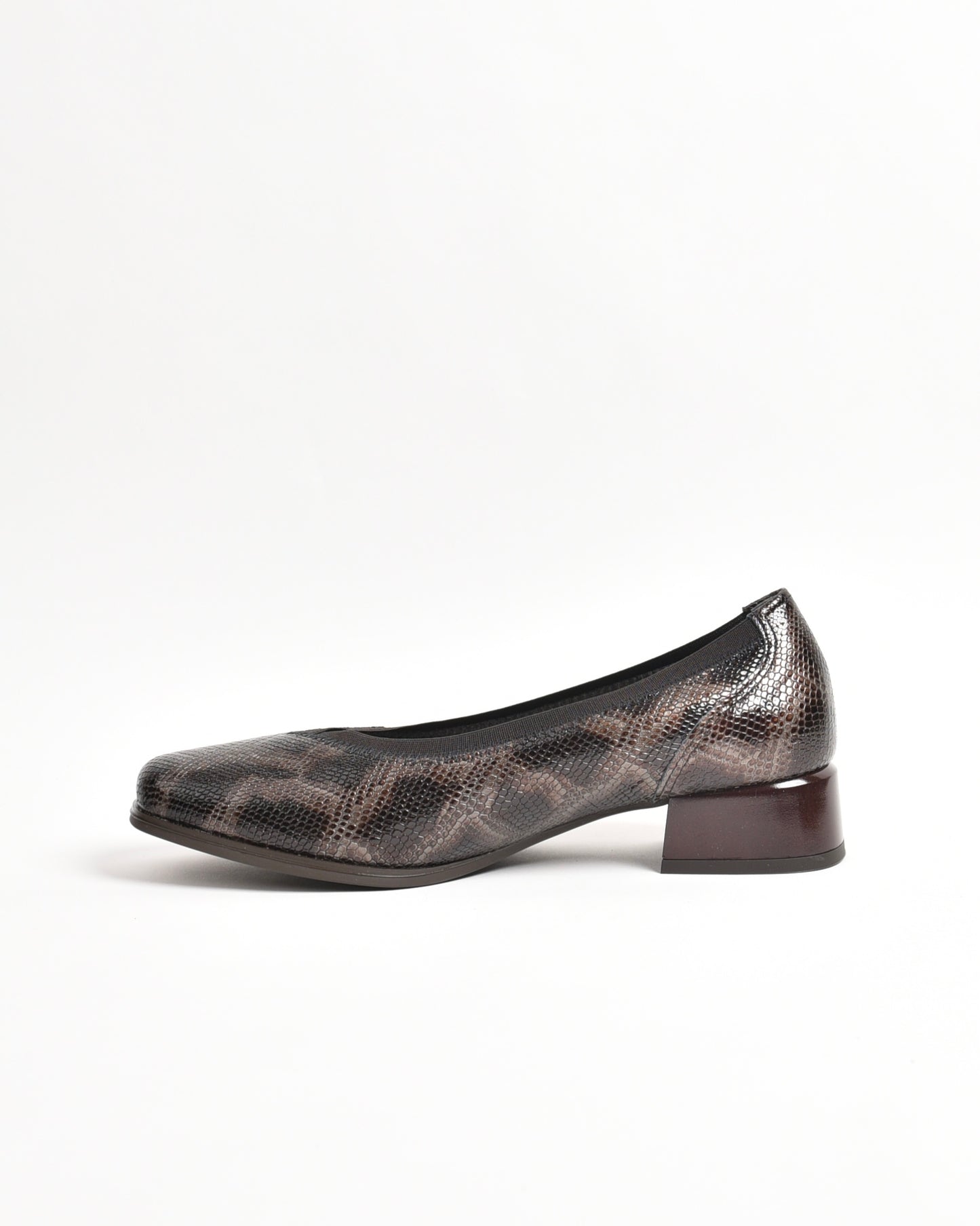 Pitillos classic shoes for women in brown